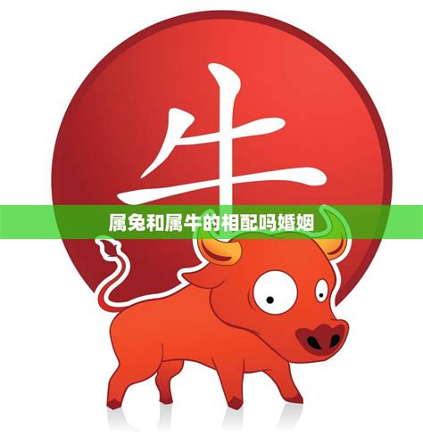 牛跟兔合嗎|属兔和属牛的合不合 属兔和属牛的合不合婚姻